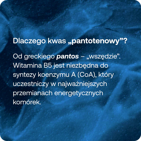 BICAPS B5 - Image 4